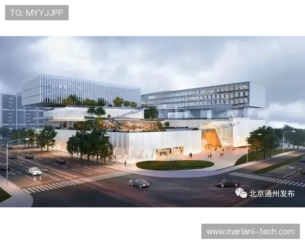 金木棉娱乐深耕娱乐市场，打造多元化娱乐生态系统实现可持续发展目标